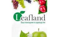 Интернет-магазин Leafland - предлагаем саженцы высокого качества по доступным ценам