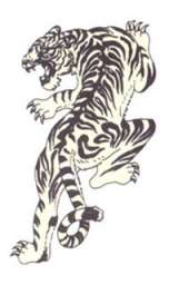 Татуировки - Тигр