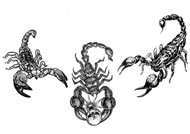 Скорпионы - Татуировки (фото)