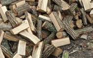 Купити дрова рубані колоті Горохів недорого