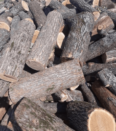 Купуйте дрова | метрові дрова Луцьк Ківерці Рожище