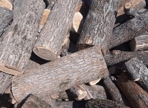 Купуйте дрова | метрові дрова Луцьк Ківерці Рожище