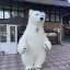Начните продвижение с надувным костюмом белого медведя 3