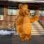 Медведь коричневый костюм надувной 2