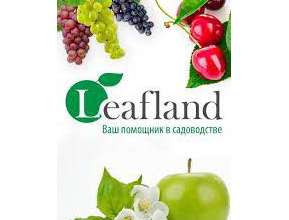 Интернет-магазин Leafland - предлагаем саженцы высокого качества по доступным ценам