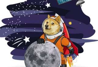 Doge-1 Launch: захватывающее путешествие со Space-X и Илоном Маском